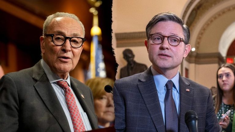 Johnson accuses Schumer of blocking ‘real discussion’ to keep government open